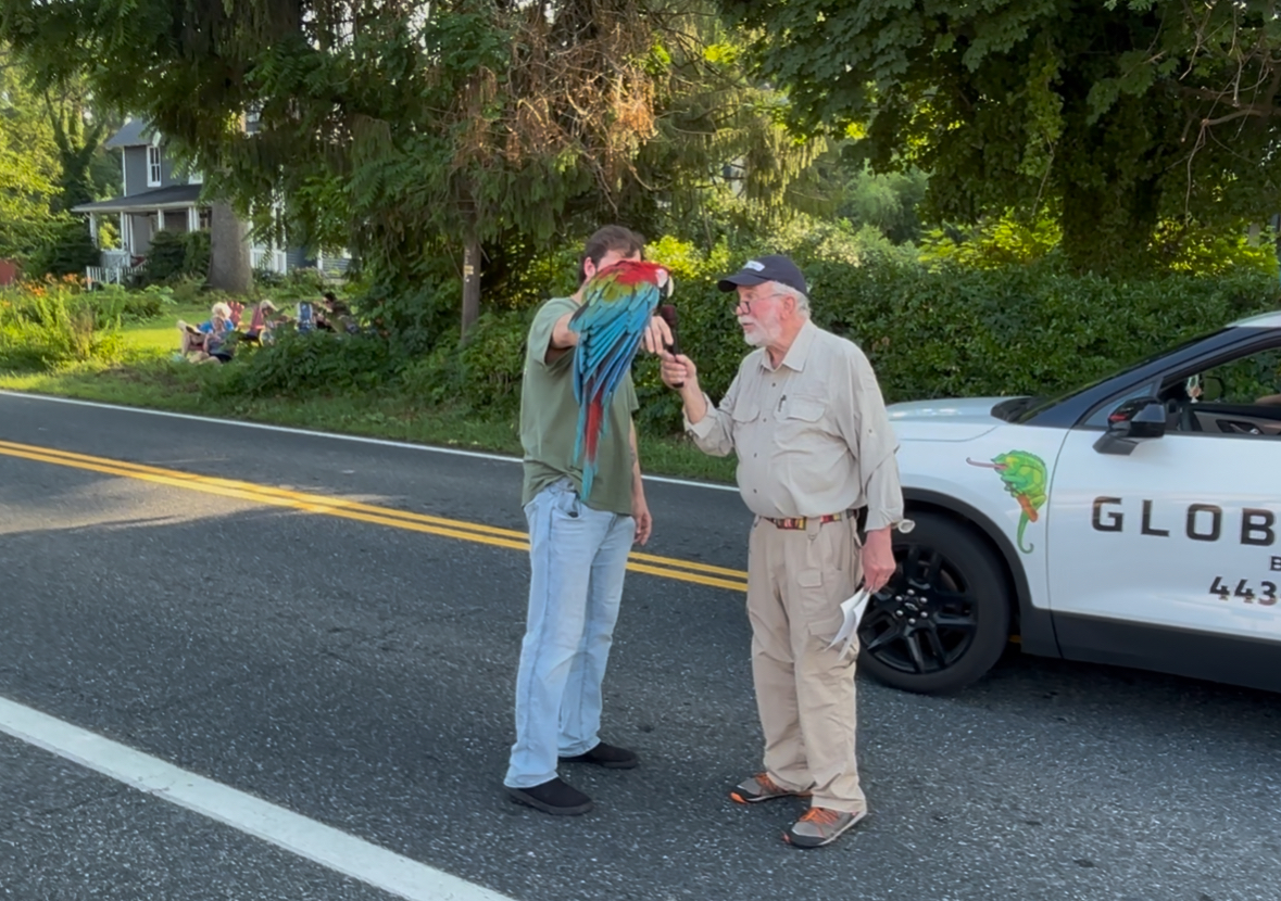 Parade Photo